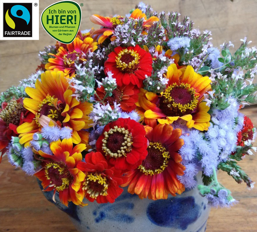 Regionale Blumen Floristik Riedstadt